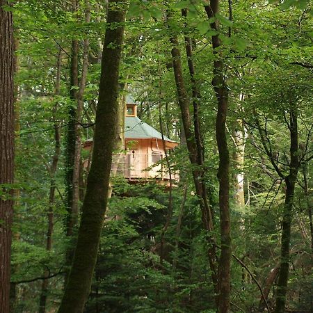 Les Cabanes De Kermenguy Cléder Pokój zdjęcie