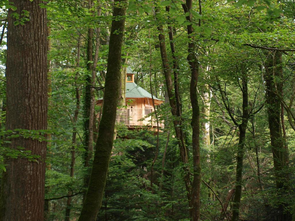 Les Cabanes De Kermenguy Cléder Pokój zdjęcie
